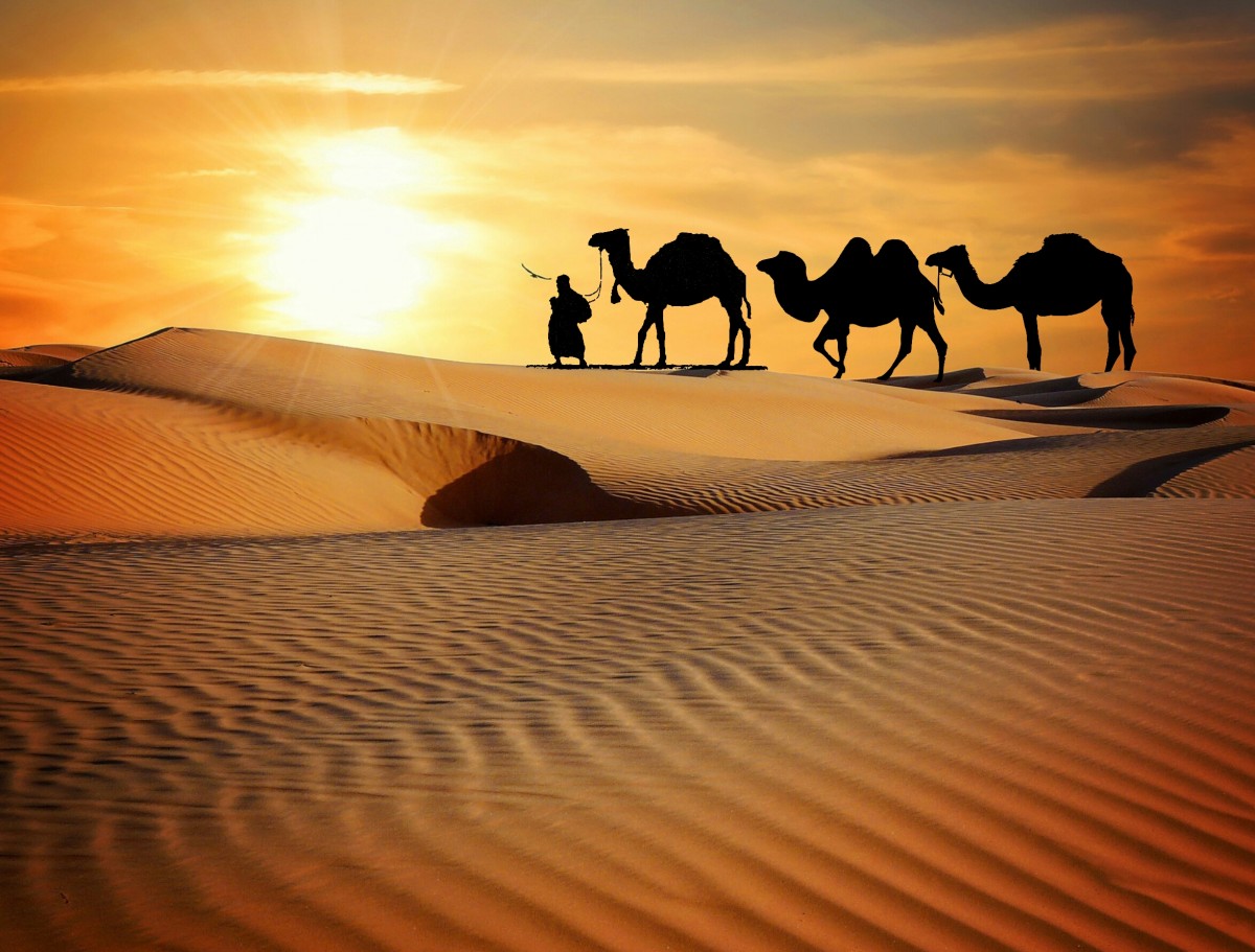 男子最好的旅行保险包括骆驼徒步旅行