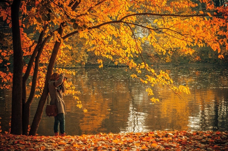 妇女与新英格兰的树叶拍照