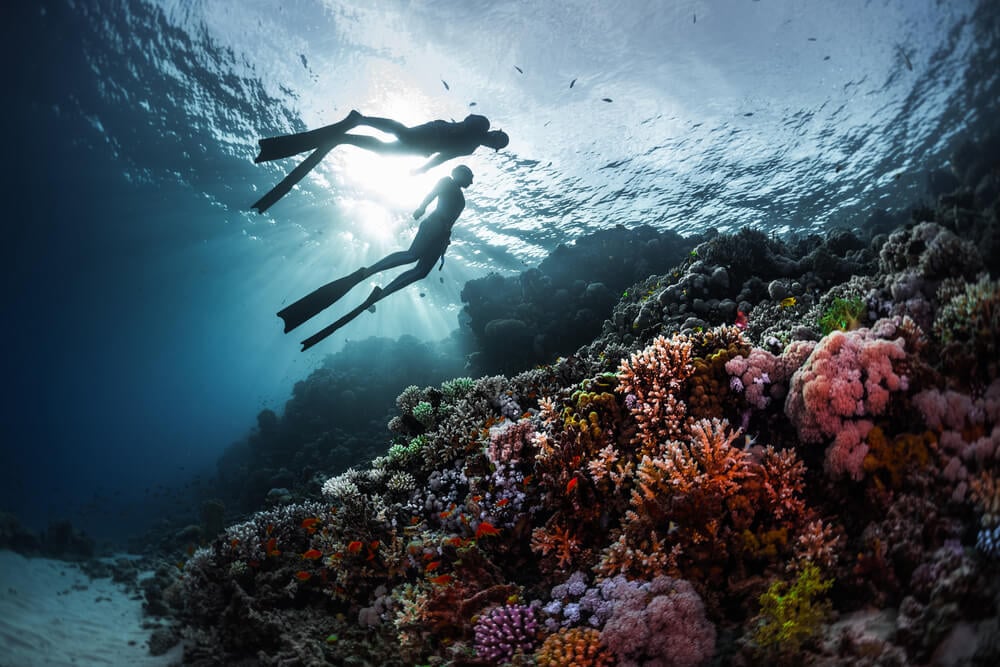 戴水肺的潜水员在埃拉特享受他们的潜水假期