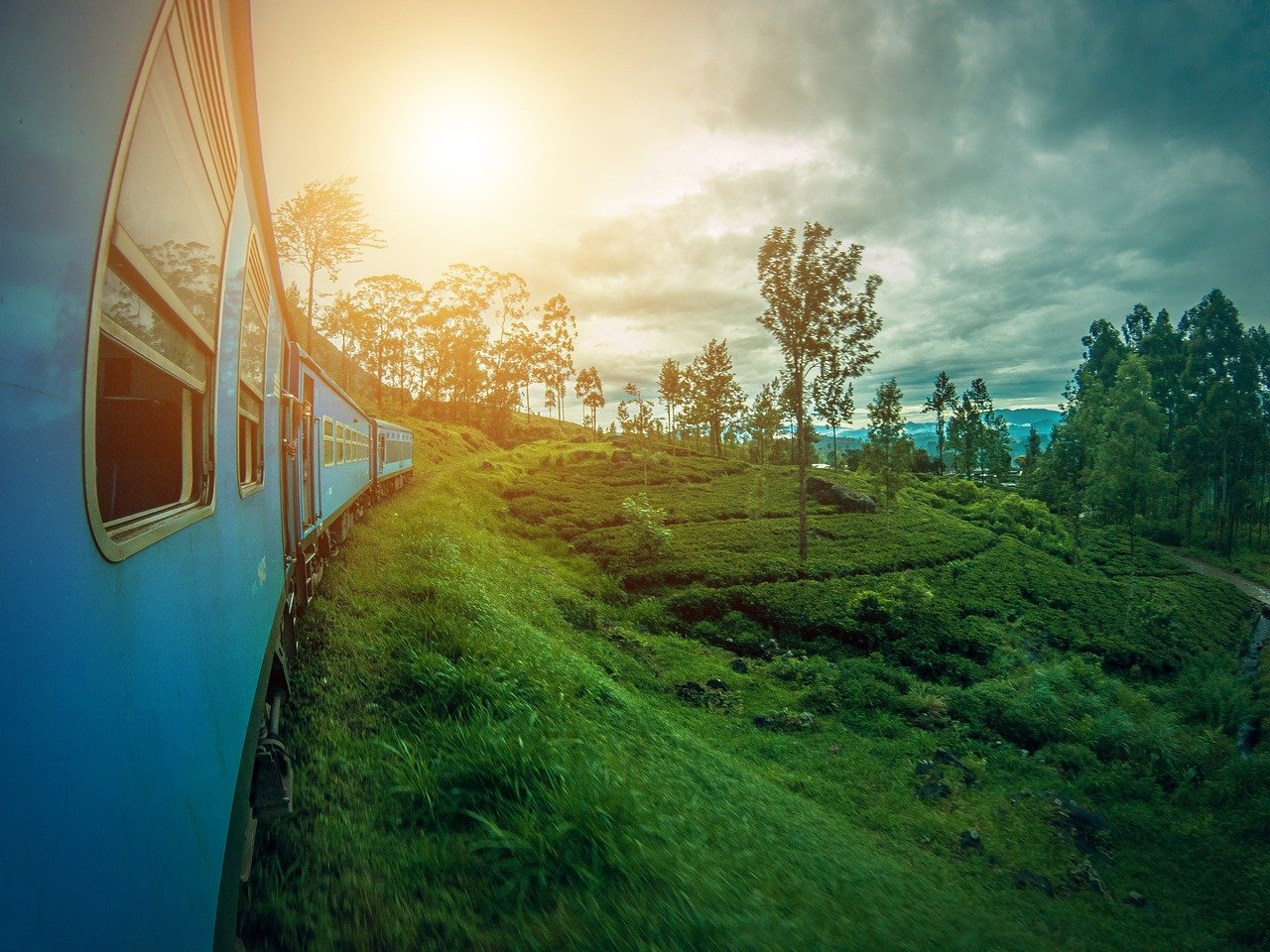 斯里兰卡的一列火车穿过绿色的丛林。