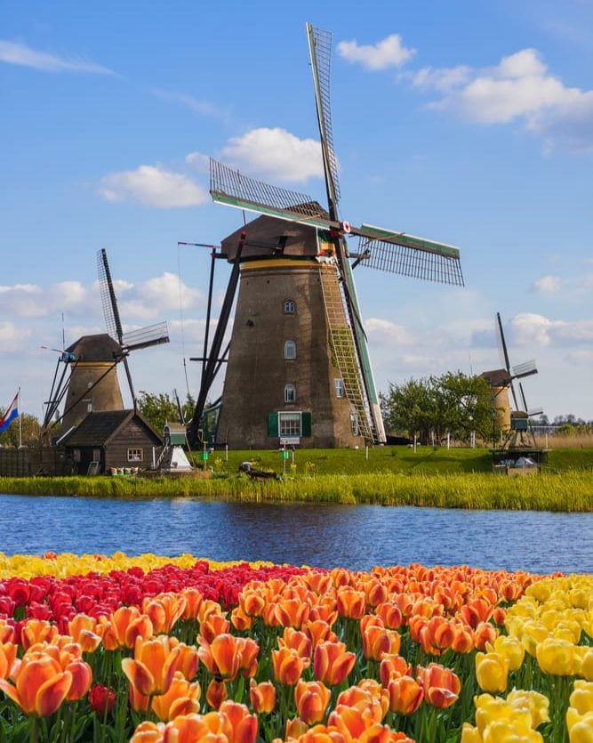 荷兰的风车和郁金香