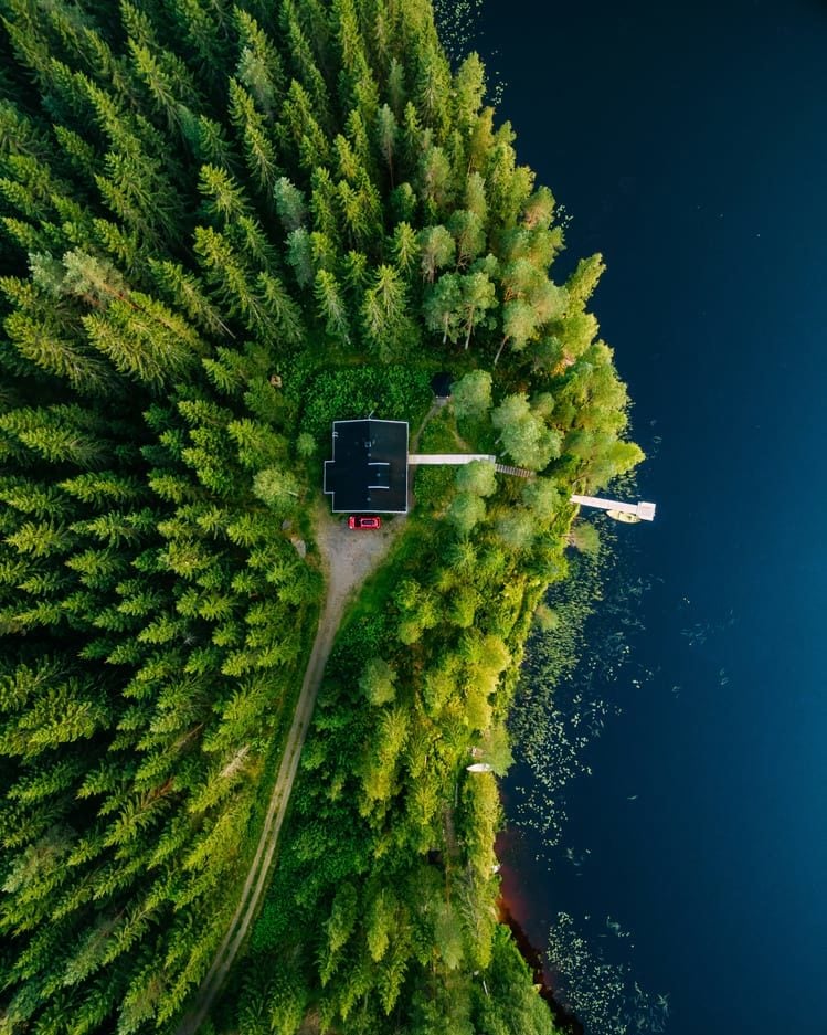 芬兰湖旁树林里的小木屋