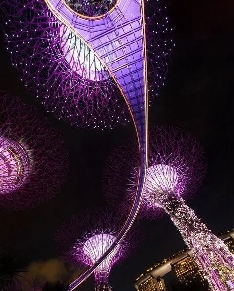 新加坡花园的海湾之夜