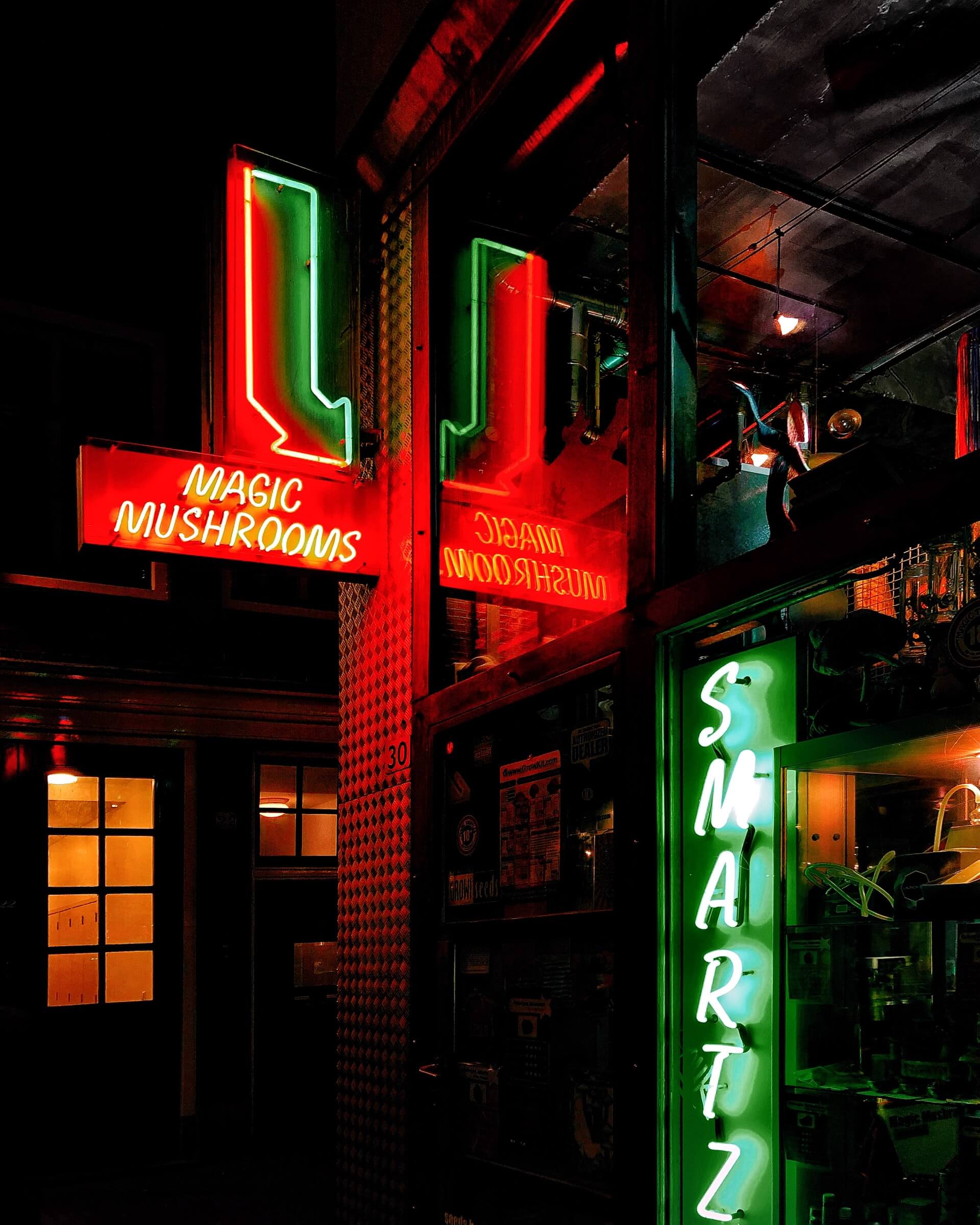 阿姆斯特丹的一家酒吧——世界娱乐性毒品之都——出售蘑菇和蘑菇奶昔